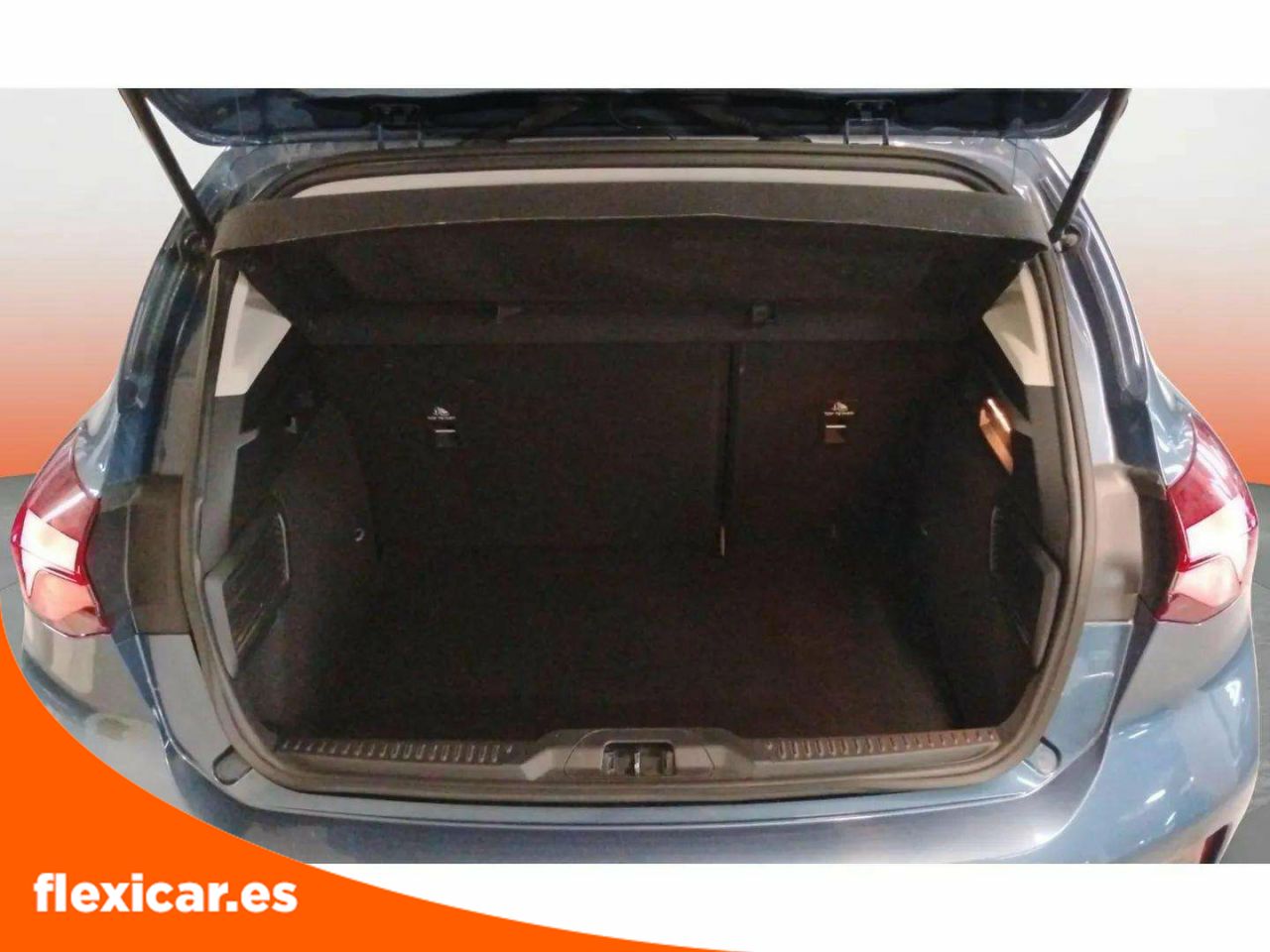 Foto Ford Focus 13