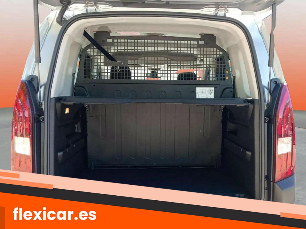 Foto Peugeot Rifter 16