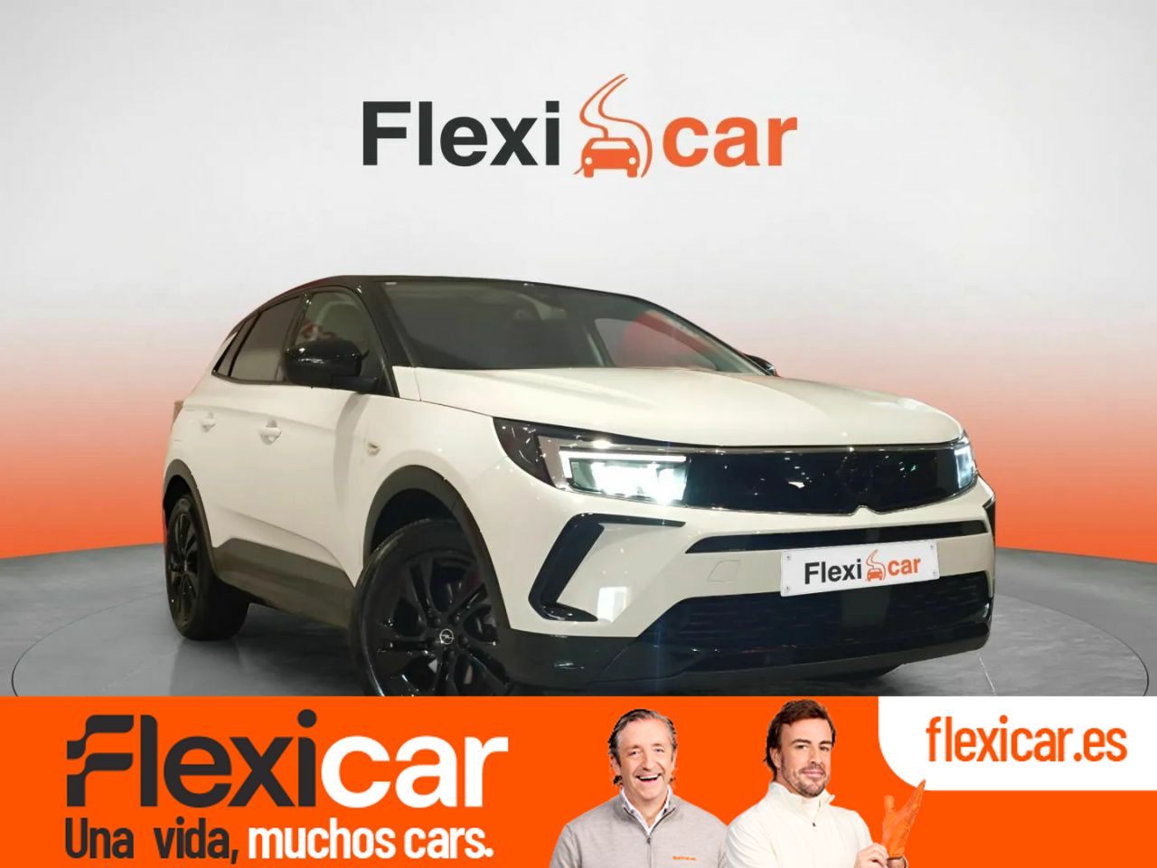 Foto Opel Grandland X 1