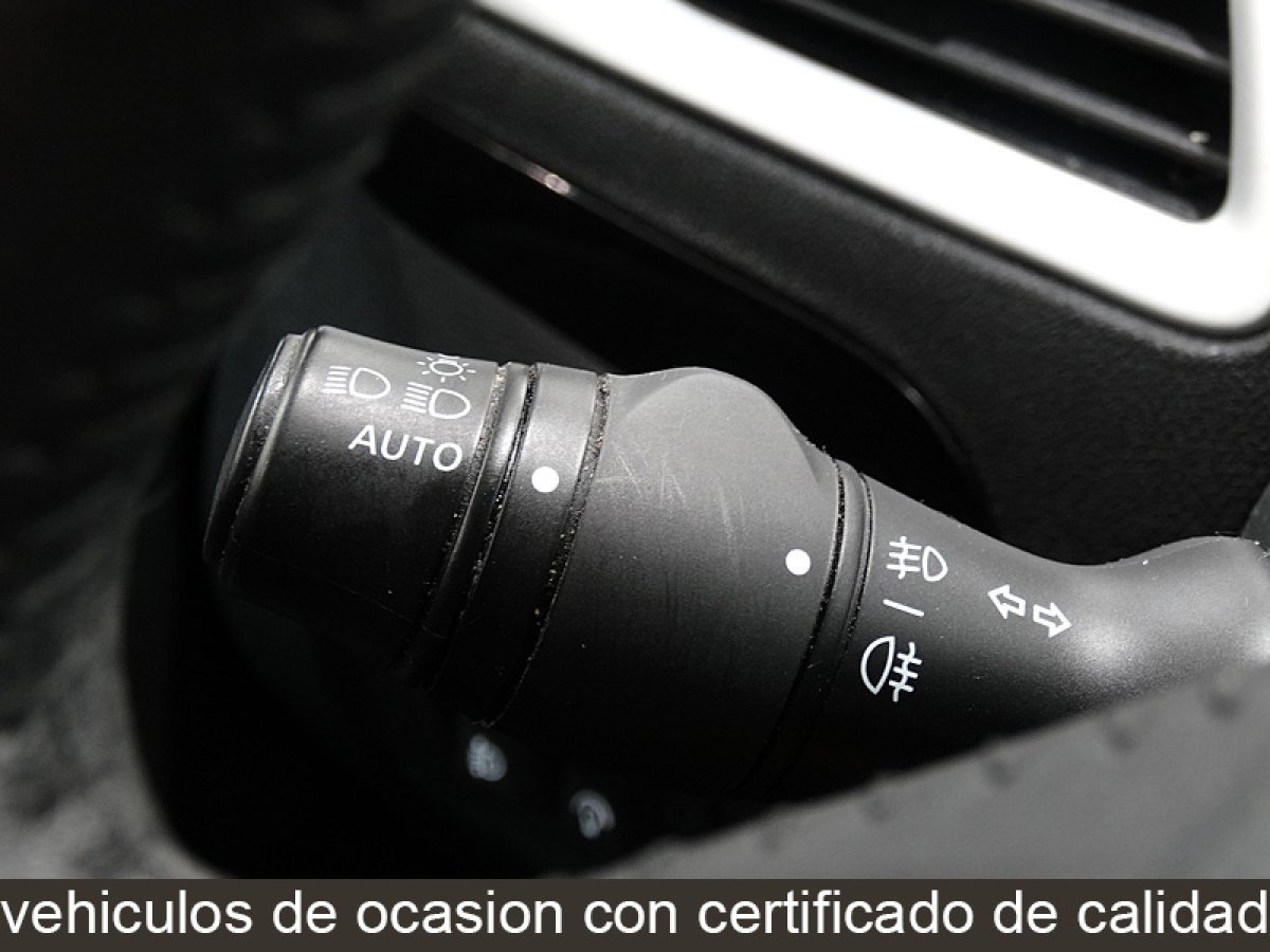 Foto Renault Grand Scénic 24