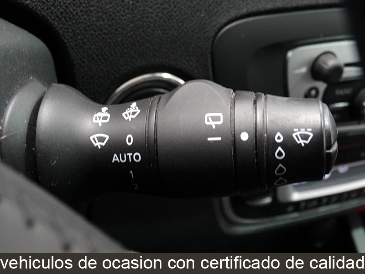 Foto Renault Grand Scénic 27