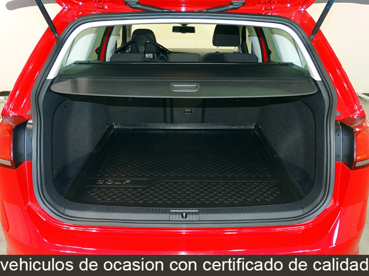 Foto Volkswagen Golf Variant 8