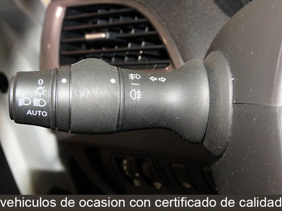 Foto Renault Mégane 21