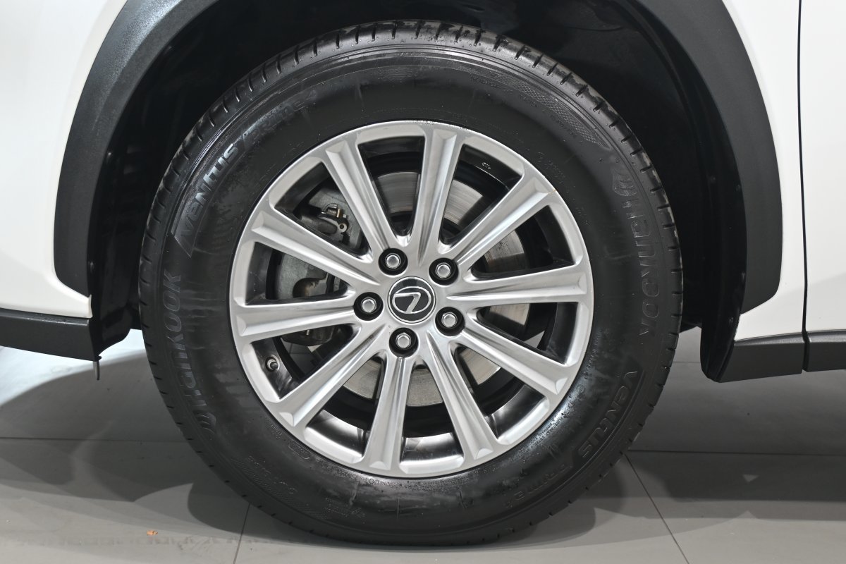 Foto Lexus NX 31